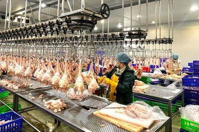 Hà Nội chấm dứt giết mổ nhỏ lẻ