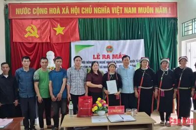 Giải ngân 500 triệu đồng hỗ trợ dự án trồng dâu nuôi tằm tại xã Nam Quang