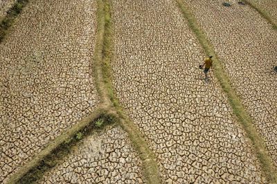 Châu Á gấp rút ứng phó 'siêu' El Nino