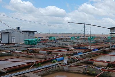 Cha nắm tay cứu con trai bị điện giật, cả hai rơi xuống sông mất tích
