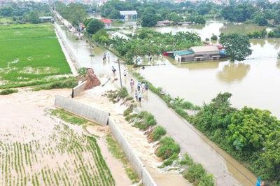Quảng Bị xử lý sự cố tại công trình nâng cấp đê tả Bùi