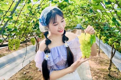 Khát vọng làm giàu trên đồng đất quê hương