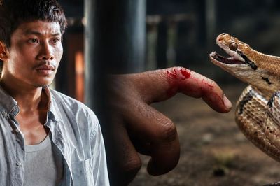 Bị rắn cắn trong lúc quay phim, diễn viên Phương Nam sức khỏe hiện ra sao?