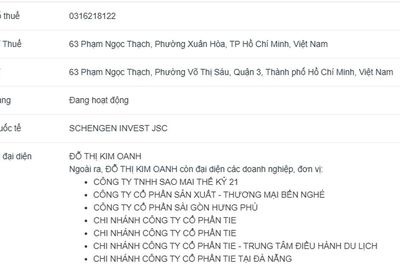 Công ty Xây dựng dân dụng Phú Quốc chào bán trái phiếu khi chưa đủ điều kiện