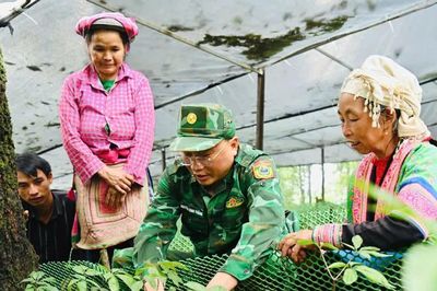 Học nghề dưới tán rừng mở hướng sinh kế cho hộ nghèo vùng biên