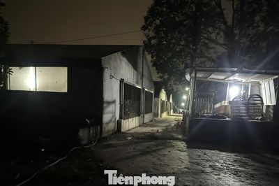 Vụ đàn heo 2.350 con dương tính với chất cấm ở Đồng Nai: Chuyển hồ sơ qua Công an