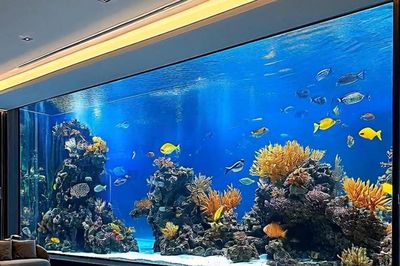 4 thứ nên đặt ở cung tài lộc trong nhà để tăng vượng khí, hút tài lộc