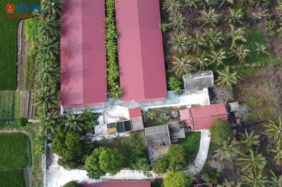 Sau phản ánh của Báo Bảo vệ pháp luật: Chính quyền yêu cầu trang trại lợn giảm đàn
