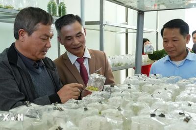 Đổi mới sáng tạo thúc đẩy phát triển kinh tế-xã hội Lai Châu