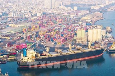 Mở mạch logistics nối dài dư địa xuất nhập khẩu