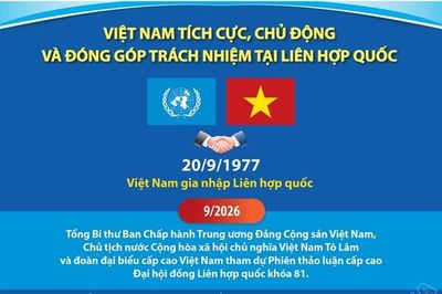 Việt Nam tích cực, chủ động và đóng góp trách nhiệm tại Liên hợp quốc