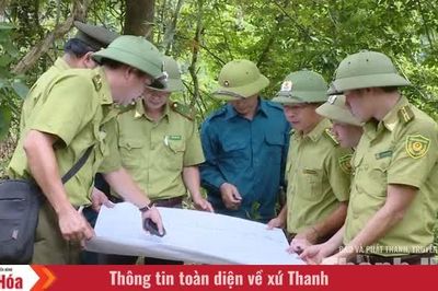 Khi người giữ rừng có thêm “trợ thủ số”