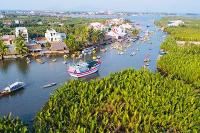 'Cộng sinh' với đời dừa