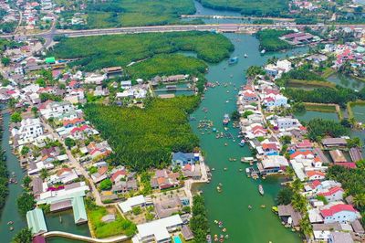Để Cẩm Thanh luôn xanh