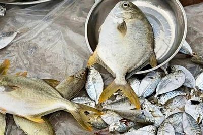 Cá liệt kho trám ngày mưa