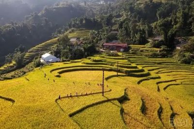 Vì một Lào Cai hạnh phúc
