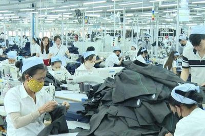 Xuất khẩu khởi sắc, doanh nghiệp Lâm Đồng ổn định sản xuất