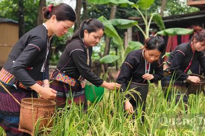 Phục dựng lễ hội Mừng lúa mới của người Vân Kiều tại xã Tân Lập