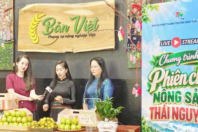 Mùa hồng Thái Nguyên - Từ vườn quả đến bàn ăn