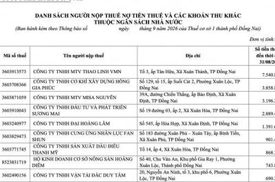 Gần 1.700 doanh nghiệp ở Đồng Nai nợ hơn 46 tỷ đồng tiền thuế và các khoản thu ngân sách