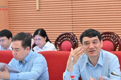 Thẩm tra sơ bộ dự án Luật Phát triển công nghiệp văn hóa