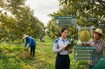 Hơn 814.000 sản phẩm được đăng ký truy xuất nguồn gốc nông sản