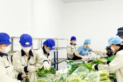 Minh bạch chuỗi cung ứng nông sản bằng dữ liệu số