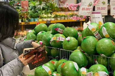 Những giống bưởi nào của Việt Nam đang được thị trường quốc tế 'săn đón'?