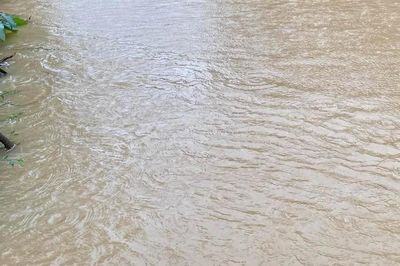 Nam Bộ hứng đợt mưa lớn đến 400mm từ ngày mai, 12 tỉnh thành ứng phó