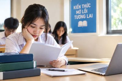 Điểm cộng IELTS và những kế hoạch vào đại học đang dang dở