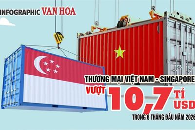 10,7 tỉ USD thương mại Việt Nam - Singapore, nhập siêu 1,55 tỉ USD