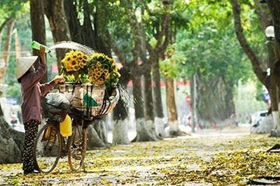 Thời tiết hôm nay (21-9): Miền Bắc ngày nắng, miền Trung và miền Nam có mưa, cục bộ có nơi mưa rất to
