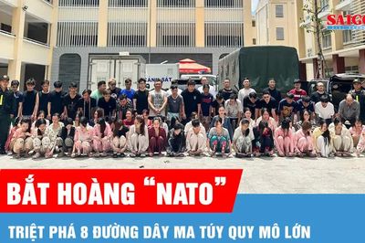 Bắt Hoàng 'Nato', triệt phá 8 đường dây ma túy quy mô lớn