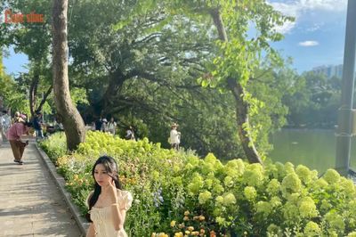 [GALLERY] Giới trẻ đổ về hồ Gươm bắt trọn khoảnh khắc thu bên dải cẩm tú cầu