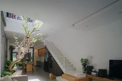 Nhà phố mặt tiền 4,5m vẫn rộng, thoáng nhờ giếng trời