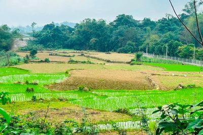 Chuyển sang đất ở: Được giảm tiền sử dụng đất, có thể tính lại khoản đã nộp