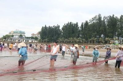 Hải Tiến 'lạ hóa' du lịch bằng nghề kéo rùng truyền thống