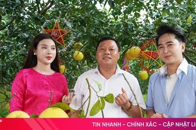 Khi lãnh đạo và người dân Hà Tĩnh chung tay xây dựng 'Địa phương số'