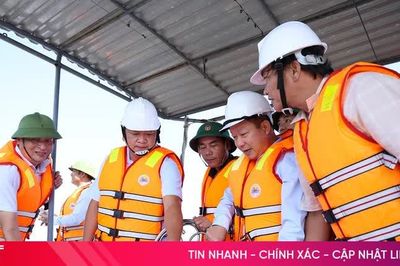 Hà Tĩnh thả 9.000 khối rạn nhân tạo góp phần tái tạo nguồn lợi thủy sản