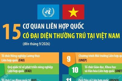 15 cơ quan Liên hợp quốc có đại diện thường trú tại Việt Nam