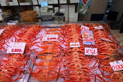 Nhật Bản biến trải nghiệm về cua thành sản phẩm du lịch độc đáo ​
