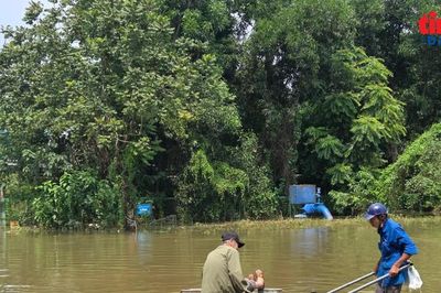 Tạnh mưa nhiều ngày, đường gom Đại lộ Thăng Long vẫn ngập gần 1 m