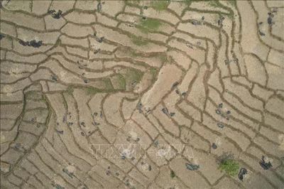 Nguy cơ mất mùa khi El Nino xô đổ hàng loạt kỷ lục nhiệt độ
