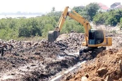 Gấp rút gia cố đê kè, bảo vệ hàng nghìn hộ dân trước mùa lũ