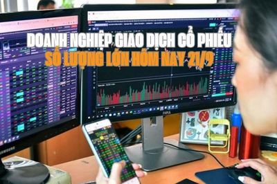 Chứng khoán hôm nay 21/9: 7 doanh nghiệp giao dịch cổ phiếu số lượng lớn