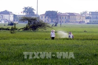 Sau mưa lũ, Ninh Bình tập trung khôi phục hạ tầng, sản xuất