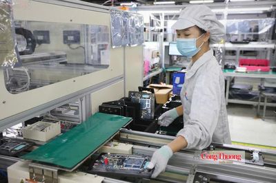 Mặt trận Tổ quốc Việt Nam: Cầu nối liên kết chuỗi giá trị