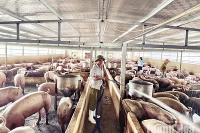 Người cao tuổi xã Lưu Vệ phát huy vai trò “Tuổi cao - gương sáng”