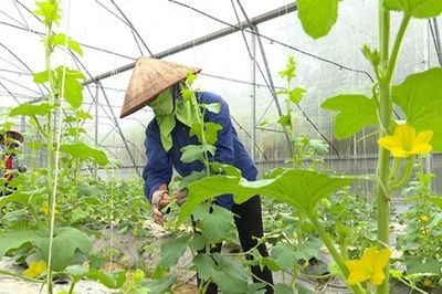 Mở rộng cơ hội tham gia bảo hiểm thất nghiệp cho lao động thời vụ, nông dân, ngư dân