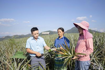 'Khoảng trống' phía sau những bước chân rời bản (bài 3)